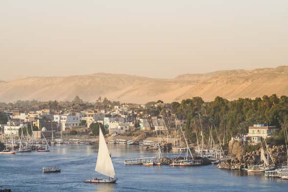 Elephantine Island Boat Tour