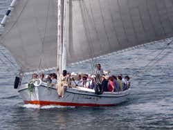 Felucca full of tourists