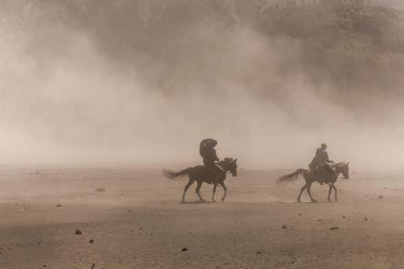 Horseback Riding in Hurghada