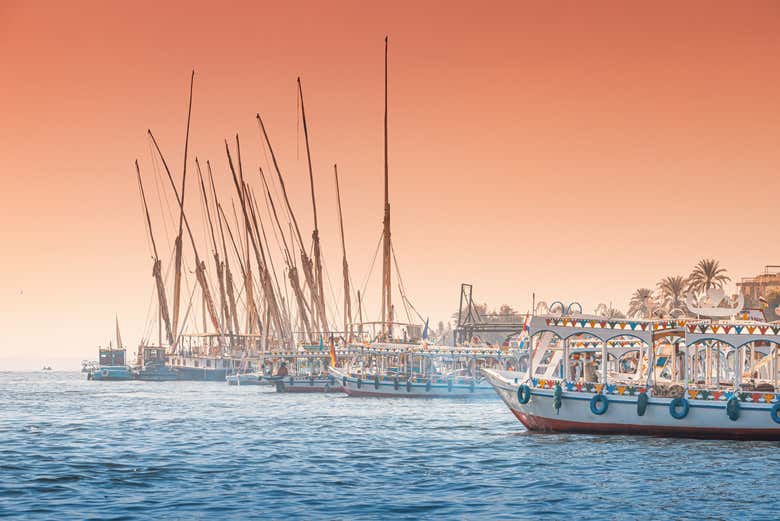Felucca trip to Banana Island