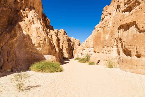 White Canyon & Ain Khunra Offroading Vehicle Tour